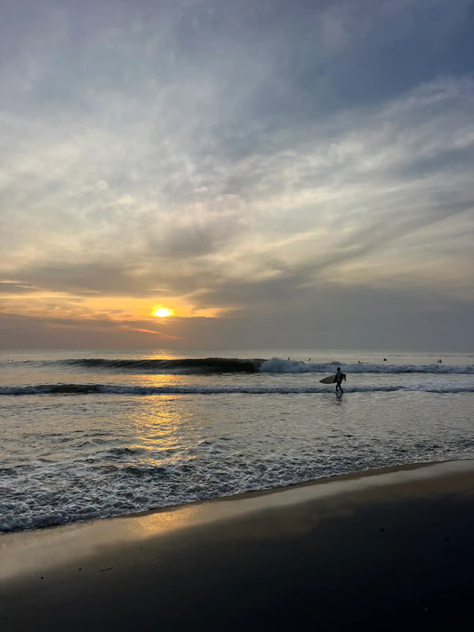 When to Surf in Arugam Bay: A Complete Guide to Seasons, Waves & Conditions